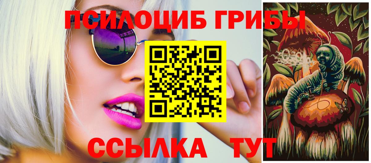 Псилоцибиновые грибы Psilocybine cubensis Тулун