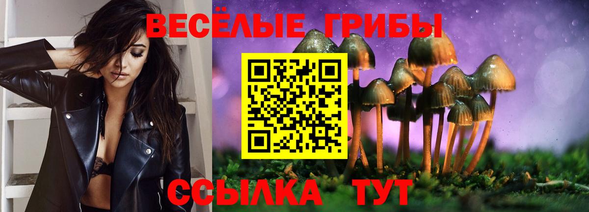 Тулун  Псилоцибиновые грибы мицелий  Вход с VPN  Галлюциногенные грибы Psilocybine cubensis 